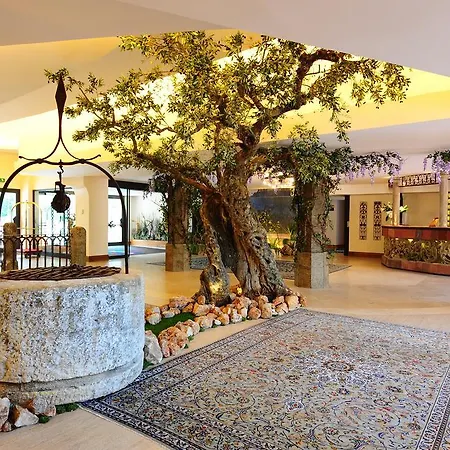 Bv Grand Assisi